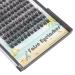 Dedila Large Pack D Curl Cluster Eyelash Extensions 8-20mm | Dramatic Volume Individual False Eyelashes Set - 12mm - Buy Online on GoSupps.com