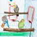 Briidea Bird Warmer for Cage - USB 5V Heater for African Grey, Parakeets, Parrots, Small Birds - Buy Online on GoSupps.com