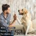 PETSILK Silk Sheen - Luxurious Pet Grooming Silk Serum - Buy Online on GoSupps.com