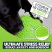 Mighty Paw Dog Lick Bowl | Interactive Slow Feeder & Licky Mat for Anxiety Relief | BPA-Free Silicone Puppy Lick Mat in Green - Buy Online on GoSupps.com