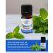Essence Peppermint Essential Oil 100% Pure & Therapeutic Grade Perfect for Aromatherapy Diffusers & Recharging Essence Nasal Diffuser Rings Natural Stress & Mood Support (5mL) Peppermint 0.17 Fl Oz (Pack of 1) - Buy Online on GoSupps.com