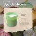 Shop Paddywax Firefly Optimist Scented Candle - 7oz Soy Wax Wild Fern Fragrance Reusable Glass Jar | International Shipping Available - Buy Online on GoSupps.com
