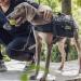 OneTigris Mammoth Dog Backpack 2.0 - Tear-Resistant Camping & Hiking Backpack for Medium/Large Dogs (M Black) - International Shipping Available - Buy Online on GoSupps.com