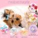 40 Pieces Handmade Dog Bows | Cute Puppy Hair Accessories with Rubber Bands, Lace, Organza, Rhinestone & Pearls | Multicolor Grooming Bows - Buy Online on GoSupps.com