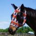 Harrison Howard Super Comfort Stretchy Fly Mask Large Eye Space with UV Protection Skin with Breatathability Stamme feather (L) Large Federsprint