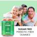 Chicory Root & Inulin Fiber Prebiotic Gummies - Apple Flavor | 60 Ct | Digestive Support for Kids & Adults - Sugar Free - Buy Online on GoSupps.com
