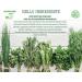 Hellobitter Mild Bitter Drops 50ml - Non-Alcoholic Vegan Herbal Supplement | Hildegard von Bingen - High Bioavailability & Laboratory Tested | Shop Internationally - Buy Online on GoSupps.com