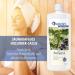 Buy Spitzner Elderberry-Cassis Sauna Infusion (1000 ml) | Premium International Shipping - Buy Online on GoSupps.com