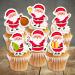 PRECUT Christmas Santa Cupcake Toppers Edible Santa Cake Decorations Christmas Decorations Santa Cake Topper (12) - Buy Online on GoSupps.com