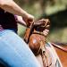Starkenburg Horse Saddle Bag Cell Phone Holder | Easy-Access Pommel Bag for Small Items | Secure Light Brown Design - Buy Online on GoSupps.com
