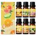 Salubrito Citrus Essential Oils Set for Diffuser, Fragrance Oil | Citrus Set of 6 - Sweet Orange, Bergamot, Lemon, Grapefruit, Essential Oil for Soap Making, Diffusers, Candle Making, Slime