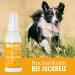 Belisy Itching Spray for Dogs 100ml - Soothing Dry Skin & Mites Relief - Skin & Fur Care with Panthenol Lavender Marigold & Tea Tree - Buy Online on GoSupps.com