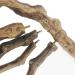 Allazon Bird Toys - 4 Natural Wood Swing Sticks & Grape Sticks for Parrots | Eco-Friendly Bird Accessories - Buy Online on GoSupps.com