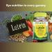Lutein 20mg- Gummies 60ct with Zeaxanthin (Pack of 1) Boxed by Fusion Shop Store - Buy Online on GoSupps.com