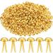 500 Pieces Paper Brass Fasteners Brass Brads Round Fasteners for Kids Craft Art Crafting School Project Decorative Scrapbooking DIY Supplies(Golden,0.3 x 0.6 Inch) Golden 0.3 x 0.6 Inch