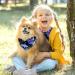 Shop Colorful Dog Scarves - Triangular Scarves for Small Medium & Large Dogs & Cats - 2 Pack - Buy Online on GoSupps.com