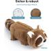 Pettec Interactive Cat Toys Electric Movable Raccoon with Catnip | Automatic Self-Play for Cats | Best Interactive Cat Toy - Buy Online on GoSupps.com