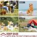Sturdy Dog Tie Out Cable and Stake Set with 3m Leash - Ideal for Medium to Large Dogs - Red - Buy Online on GoSupps.com