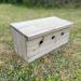 Selections Sparrow Colony Wooden Nesting Box Terrace - Buy Online on GoSupps.com