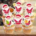 PRECUT Christmas Santa Cupcake Toppers Edible Santa Cake Decorations Christmas Decorations Santa Cake Topper (12) - Buy Online on GoSupps.com