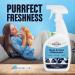 Stain & Odor Eliminator for Pets - 32 oz Professional Cleaner for Urine Vomit & Feces | Safe for Carpet Couch & Floor | Advanced Odor Control Spray - Buy Online on GoSupps.com