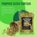 Premium 2 lb Dry Roasted Pumpkin Seeds with Sea Salt | Non-GMO, Vegan & Keto Friendly - Buy Online on GoSupps.com
