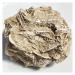 300-600g Natural Desert Rose Stones SeleniteReiki ra Crystal Specimen Rough Sample Cluster fengshui Home Decor ZJGIDTEM (Color : About 300g)