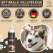 Pfotengut Dog Fur Care Spray 250ml | Vet-Developed Nourishing & Detangling Spray with Jojoba Oil & Chamomile | Silky Glossy Fur for All Dogs - Buy Online on GoSupps.com
