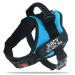 Pawpawify dog harnesses against pulling with personalized name and telephone number durable prevents tug pulling or choking for training and walking XS Chest 17-22in Himmelblau