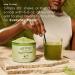 Four Sigmatic Gut Health Super Powder - Organic Green Superfood with Probiotics & Prebiotics | Apple Celery Super Greens Blend | 4.94 oz Drink Mix - Buy Online on GoSupps.com