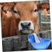 Angoily Stainless Steel Water Fountain Goat Waterer Goat Feeder Cattle Drinking Bowl Chicken Water Feeder Sheep Drinking Bowl Farm Drinker Cow Watering System Poultry Water Cups The Cow - Buy Online on GoSupps.com
