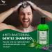 Professional Tea Tree Anti-Dandruff Shampoo - Made In UK Soothes Scalp Perfect For Fighting Itchy Skin Anti-Dandruff Prevents Lice | 250ml - Buy Online on GoSupps.com