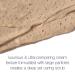 Dove Brown Sugar & Coconut Butter Body Scrub - 10.5 oz | Exfoliating & Nourishing Formula for Silky Smooth Skin - Buy Online on GoSupps.com