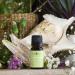Lemongrass Essential Oil 100% Pure & Natural - Organic Thai Oil for Diffuser & Skin Care 10ml | Premium Grade Cymbopogon Citratus - Buy Online on GoSupps.com