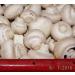 White Button Mushroom Growing Kit - Easy Fresh Shroom Growth - Buy Online on GoSupps.com