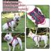 Multi-Purpose Dog Harness & Leash Set Outbreak-Proof Anti-Train Safety Gear for Small to Medium Dogs (Black Size S) - Buy Online on GoSupps.com