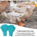 higyee Wildlife Protection Shoes - Anti-slip Protection Shoes for Wildlife | Shoes for Goose and Large Ducks Birds Hens Duck Accessories - Buy Online on GoSupps.com