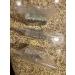 Buy Healing Soap Online - Natural Ingredients for Skin Health | International Shipping Available - Buy Online on GoSupps.com