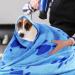LLMSix Extra Absorbent Dog Towels - Large Microfiber Pet Towels for Small & Large Dogs/Cats (140x70cm) - Quick Drying & Soft - Buy Online on GoSupps.com