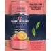 Sanpellegrino Arancia and Fico D'India Sparkling Drink - 6 Pack 11.5 Fl Oz Cans - Buy Online on GoSupps.com
