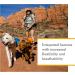 RUFFWEAR Approach Pack - X-Small Dog Backpack Carrier with Harness & Pockets | Portable Pet Hiking Accessory in Campfire Orange - Buy Online on GoSupps.com