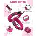 Buy PETTOM Adjustable Nylon Dog Collar - Breathable & Reflective XS Pink for Small Dogs - Buy Online on GoSupps.com