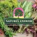 Nature's Answer Alcohol-Free 1 Fluid Ounce Black Cohosh Extract | Supports Female Balance | Gluten-Free | Non-GMO | Made in The USA | Cruelty-Free - Buy Online on GoSupps.com