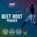 Now Foods Sports Beet Root Powder 12 oz - Boost Energy & Performance - Buy Online on GoSupps.com