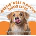 Pumpkin Powder for Dogs 200g - High Fibre Digestive Aid & Natural Dog Food Topper for Firm Stool Relief - Use as Lick Mat, Sprinkle Dry or Wet for Puree Paste - Buy Online on GoSupps.com