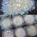 LoveOurHome 24 Box Iridescent Glitters Powder Pigment Nail Decorations for Resin Epoxy Crafts & Makeup - Chunky Flakes, Sequins & Hexagon Accessories for Festival, Body, Acrylic Nails Design - Buy Online on GoSupps.com