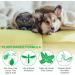Fleas For Cats Powerful Prevention And Control For Fleas Eggs Fleas And Prevention For Cat Fleas - Buy Online on GoSupps.com