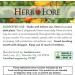 Herb Lore Organic Goats Rue Tincture - Lactation Supplement for Breastfeeding - Natural Breastmilk Production Support to Increase Breast Milk Supply (4 fl oz) - Buy Online on GoSupps.com