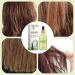 Hair Moisturizing Oil Nourishing Hair Care Oil Natural Ingredients Hair Oil Multi-Purpose Hair and Body Oil 30ml Hair Care Oil Lightweight Hair Oil - Buy Online on GoSupps.com