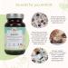 AHCC 60 Capsules - 1 000 mg Shiitake Mushroom Extract for Immune Support | High Bioavailability & Original Formula - Buy Online on GoSupps.com
